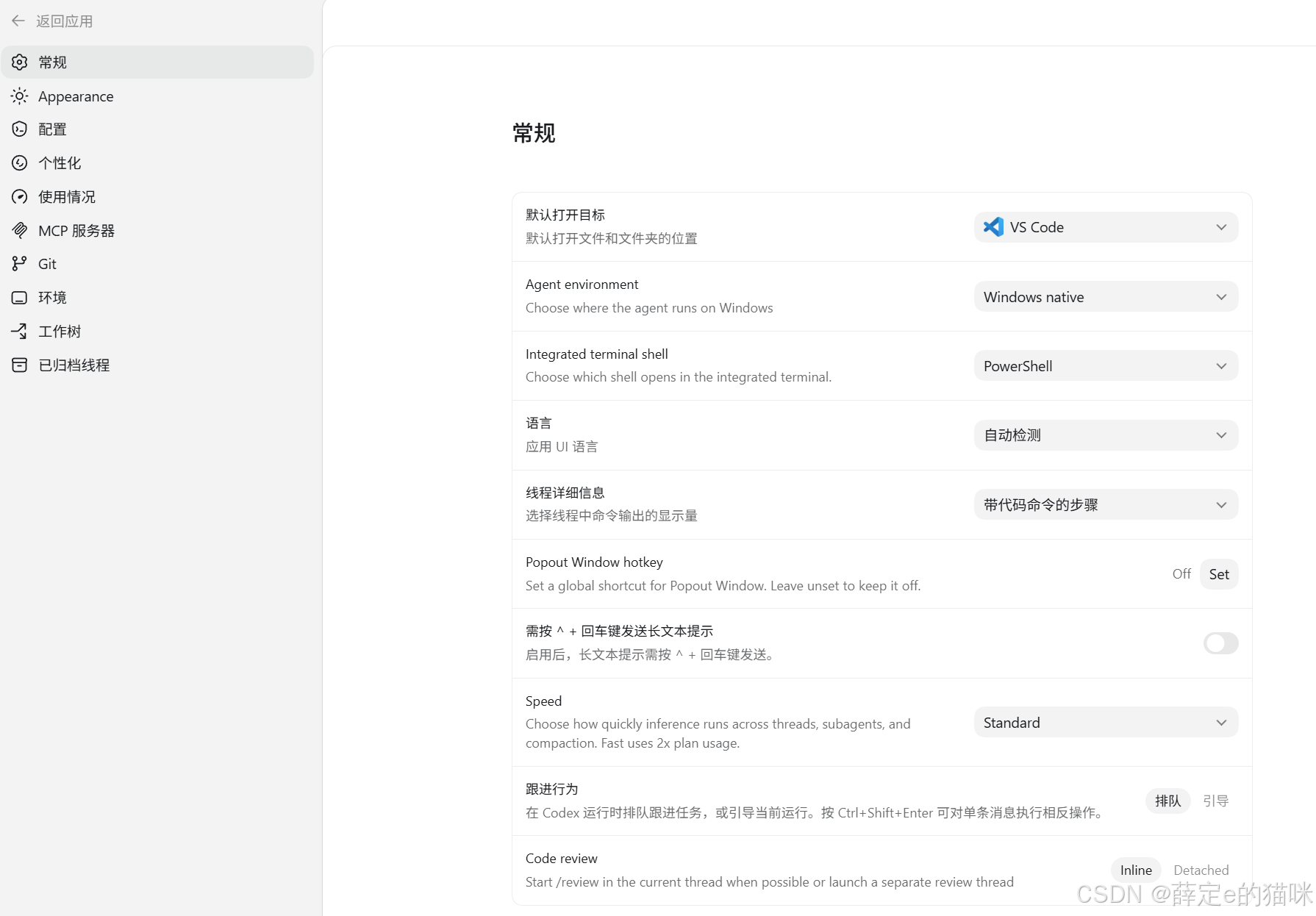 Codex App 设置界面示意