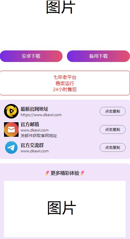 2024首发最火的软件宣传单页源码 - 老林代码