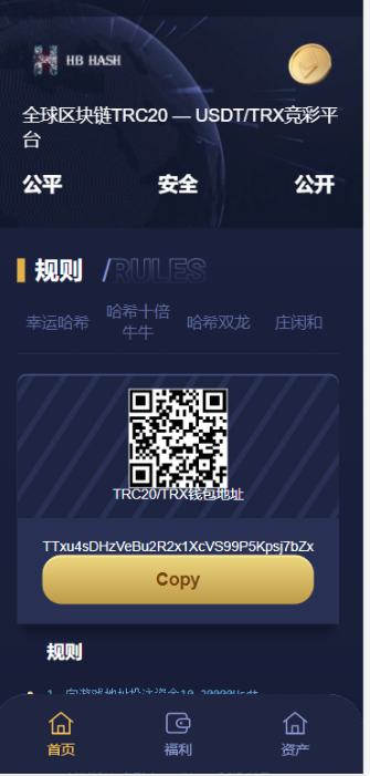 哈希竞猜源码-支持四种玩法 - 老林代码