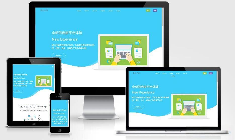 PHP自适应个人即时到账收款平台网站源码 集成码支付微支付微信支付宝QQ支付接口 - 老林代码