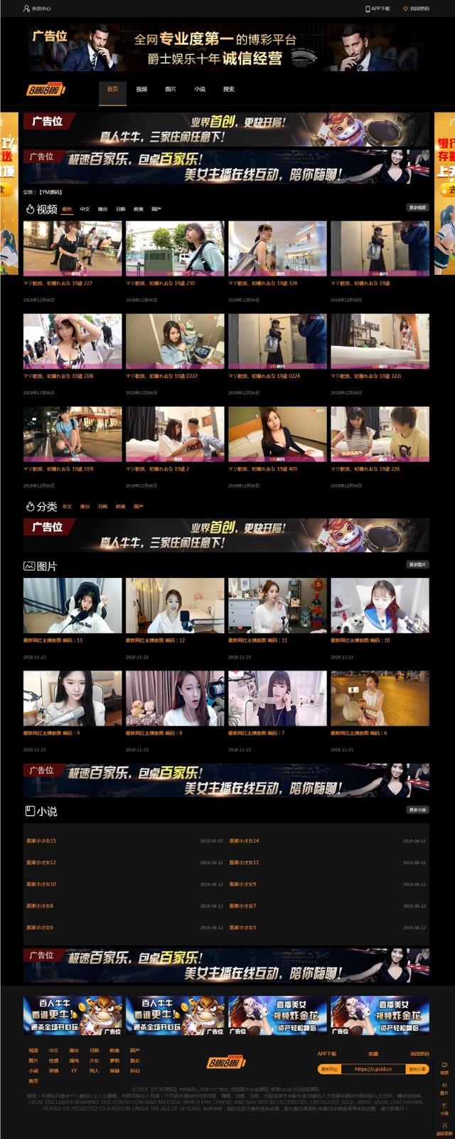 H站网站源码下载_带小说模块和图片自营式 - 老林代码